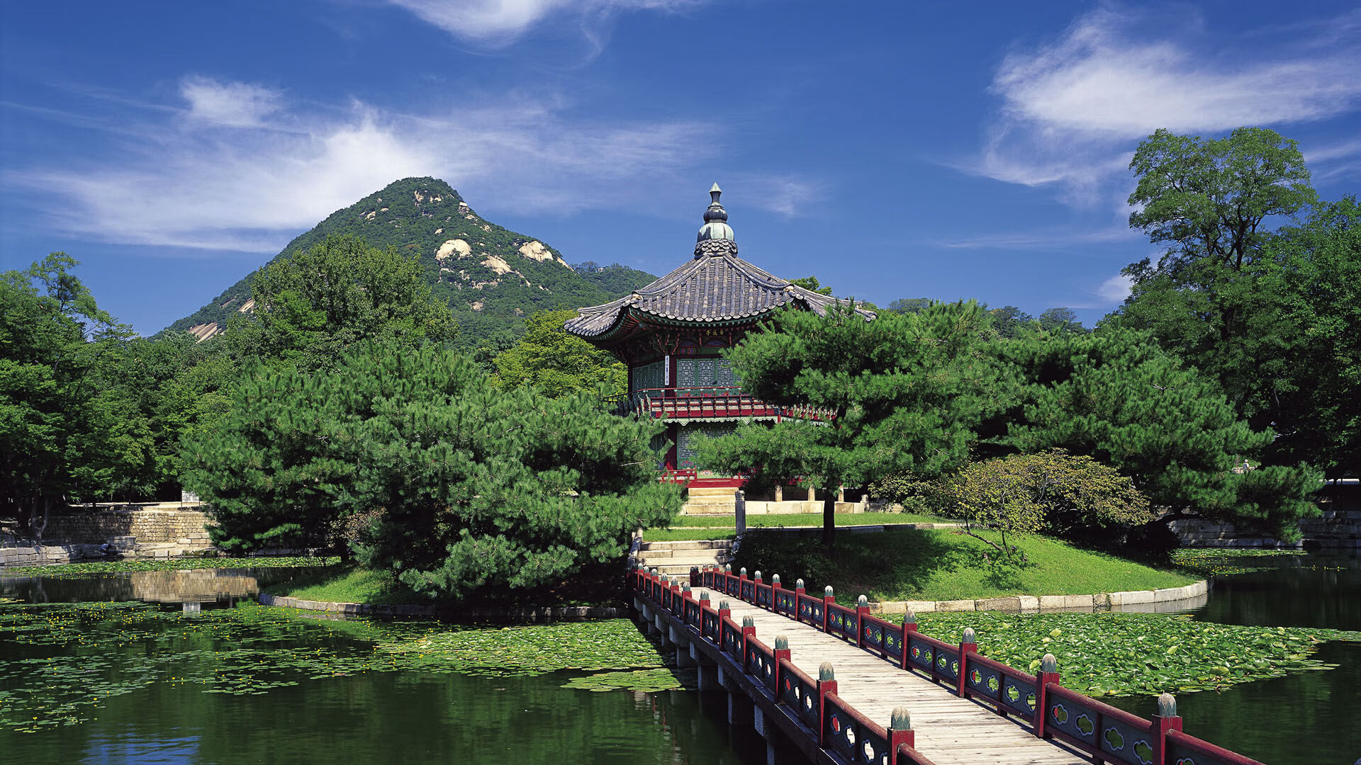 世界体能恢复公益课堂乡镇版第三轮反馈汇编发布,体能世界纪录